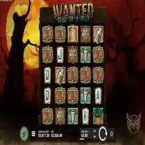 Wanted Dead or Wild play
